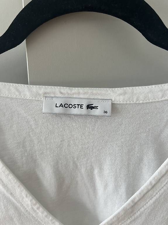 Lacoste T-shirts: Lacoste T-Shirt – Neuf (Voir description) à Münsingen par eny04 1