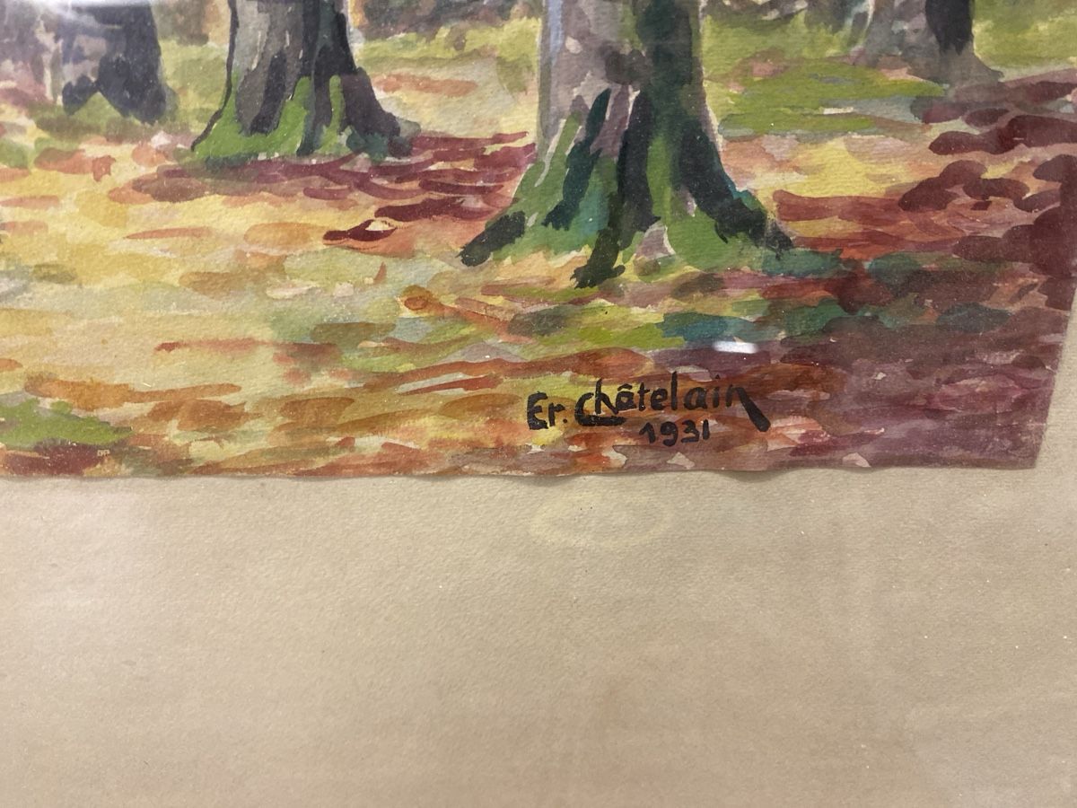 Dipinti: Aquarelle Originale, Signée Chatelain 1931, Paysage Lac 50 – Usato da Le Locle venduto da rya_m6j7 1