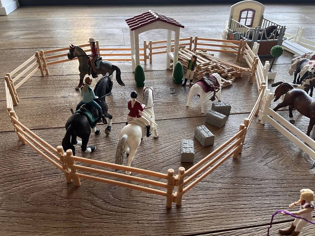 Schleich Giocattoli: 16 Schleich Pferde mit diversem Zubehör – Usato da Steffisburg venduto da car_qwr6 2