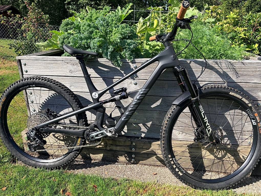 Vélos: Canyon Spectral CF 9 Size L – D'occasion à Hergiswil NW par jankram