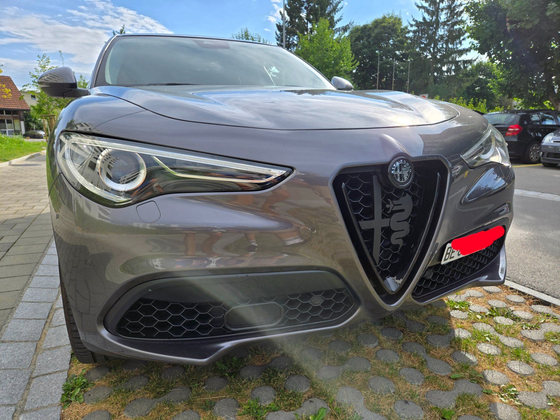 Alfa Romeo Tutti pezzi di ricambio auto: Alfa Romeo Stelvio & Giulia Grill accessory, Matte Schwarz – Nuovo (secondo la descrizione) da Lyss venduto da nesholo1986 2