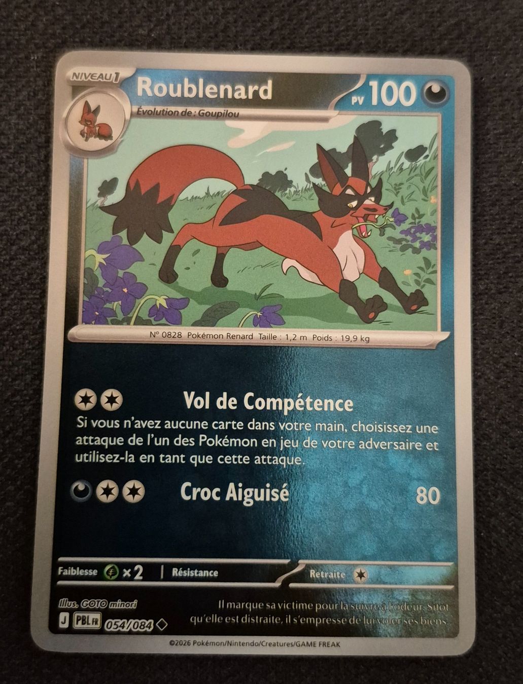 Pokémon Carte collezionabili: ROUBLENARD 054/084 REVERSE POKEMON NUIT NOIRE – Usato da Grand-Lancy venduto da luc111