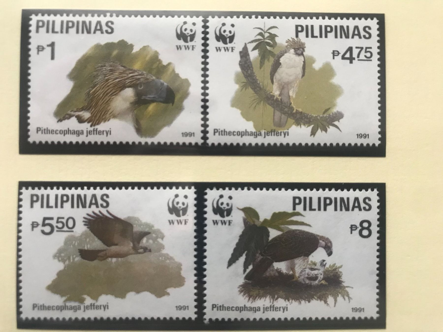 Tutti i francobolli: WWF Philippinen 1991 Adler Satz postfrisch – Nuovo (secondo la descrizione) da Liestal venduto da schnueps