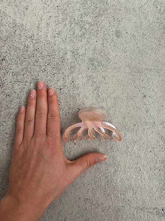 Accessori per capelli: Haarklammer pink pastell – Usato da Bern venduto da mari773