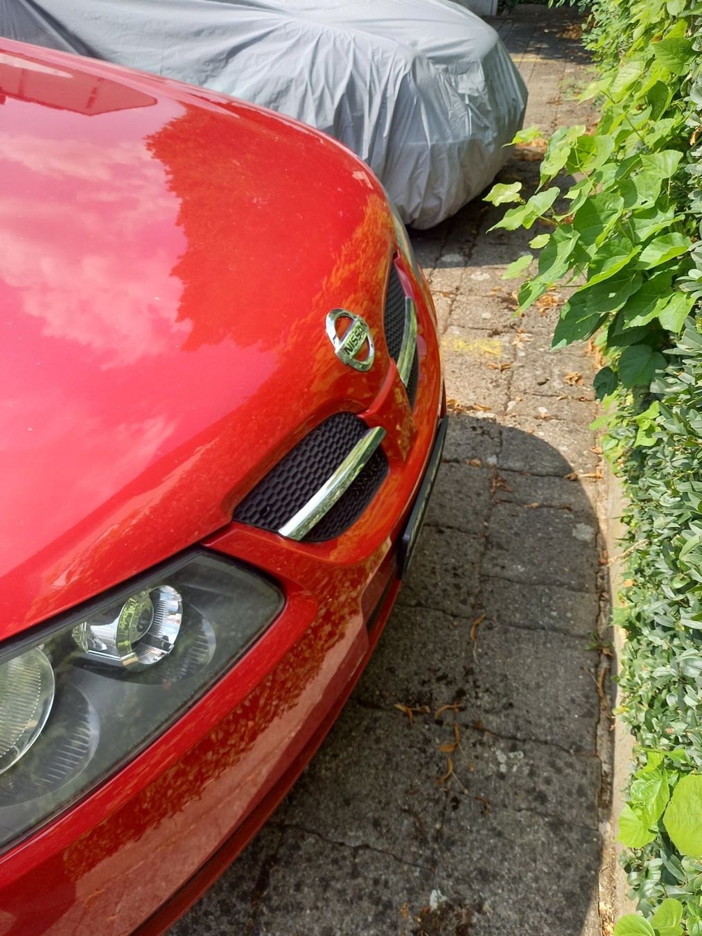 Nissan Autos: Nissan Almera 1.8 für Export oder Autoteile – Defekt aus Nesselnbach von rtirol 2