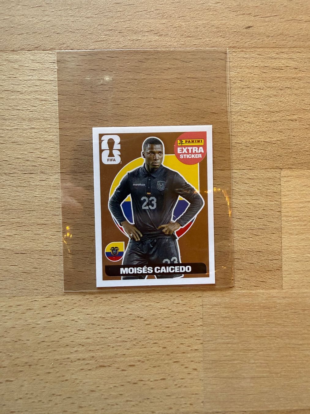 Panini Sammelbilder & Trading cards: Moises caicedo extra Sticker – Neu (gemäss Beschreibung) aus Schönenwerd von 29061996
