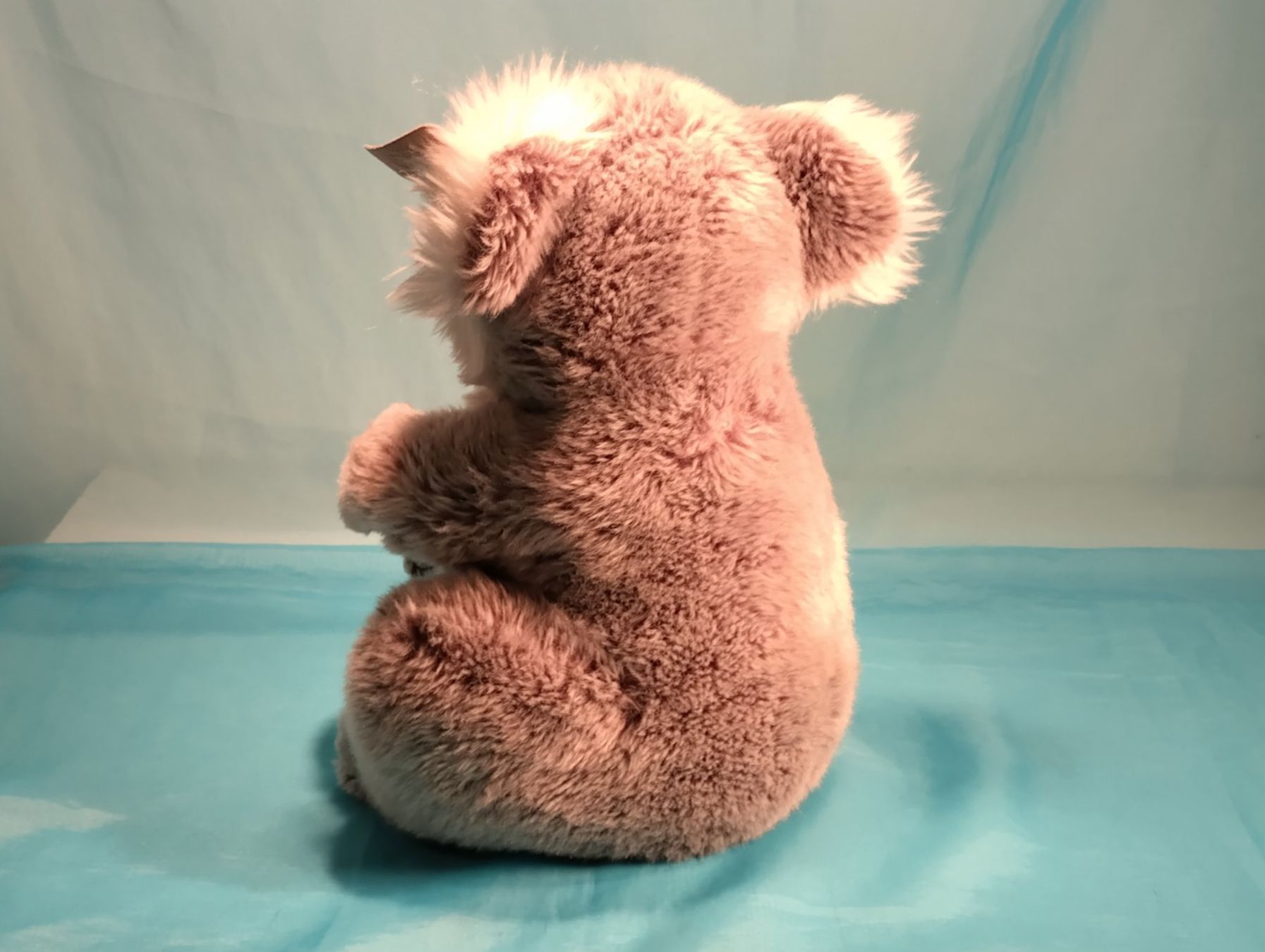WWF Giocattoli: WWF Koala, L: 35cm – Nuovo (secondo la descrizione) da Bellach venduto da JingleCherry 2