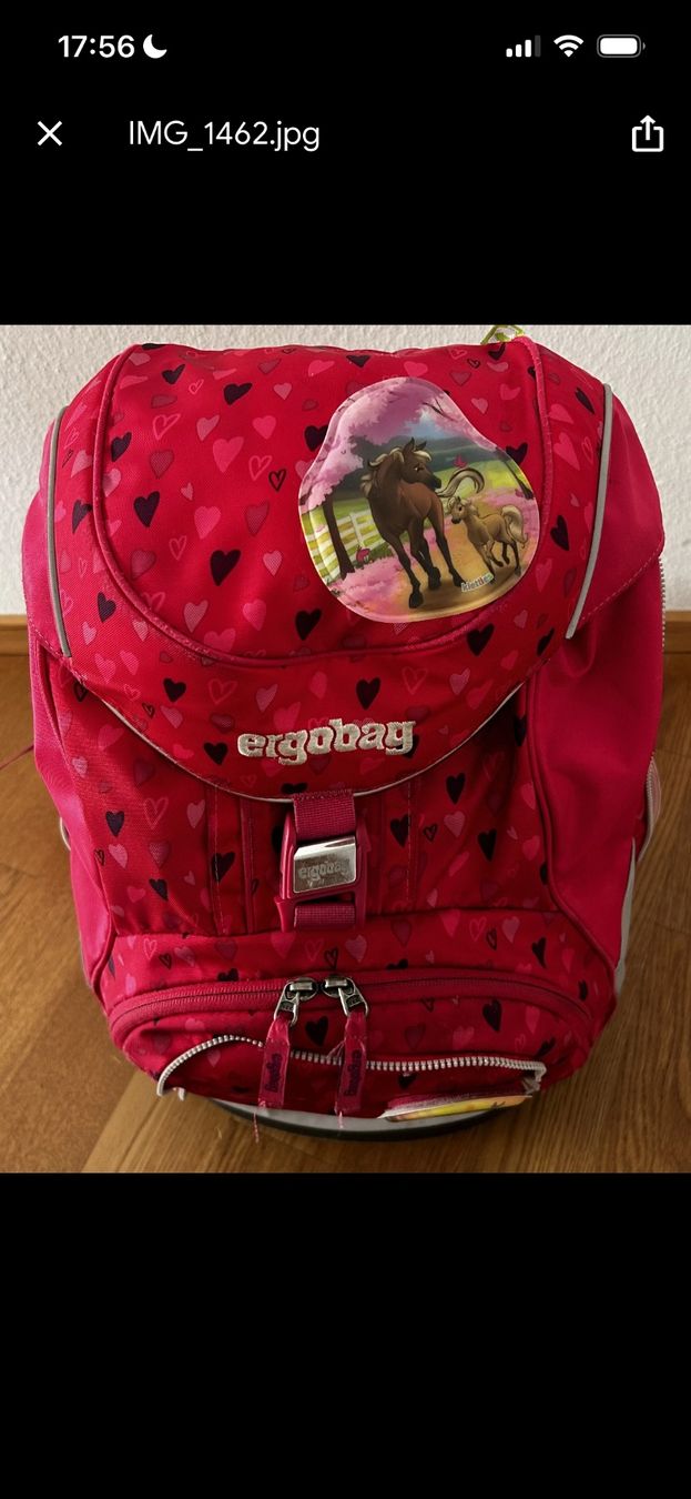 Borse & Zaini: Ergobag School Backpack - Pink with Hearts & Horse Design! – Usato da Binningen venduto da ale_6685