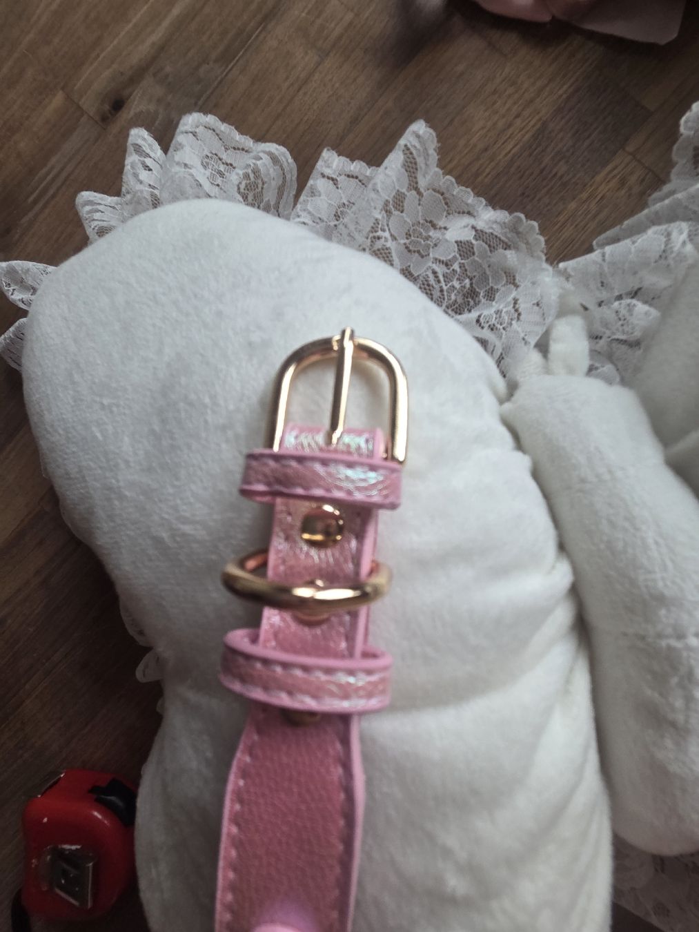 Leine & Halsband: Katzenhalsband  – Neu (gemäss Beschreibung) aus Bühler von ros_5qfr 4