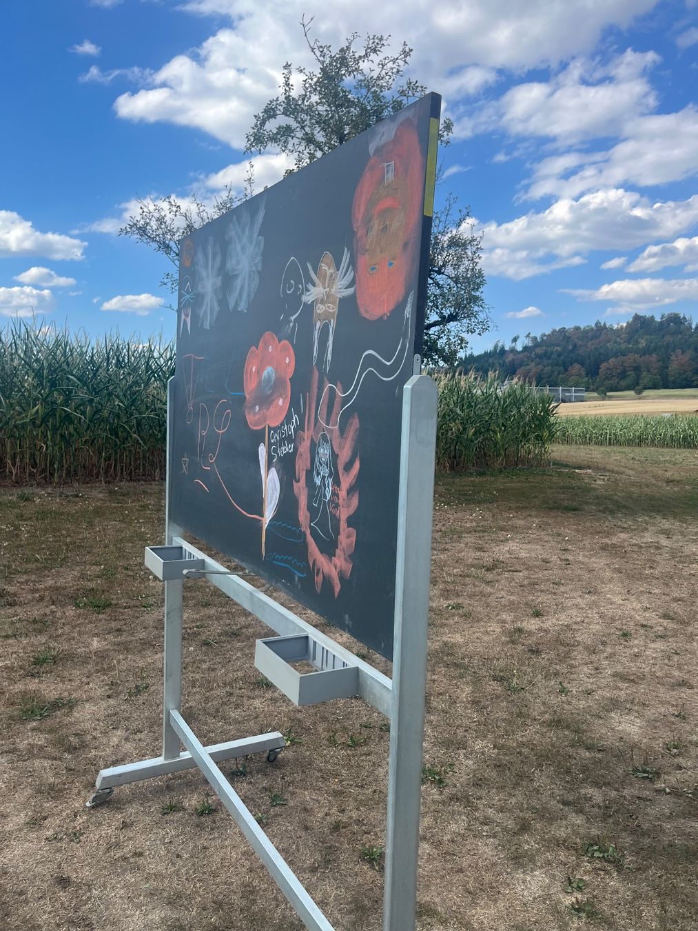 Wandtafeln: Wandtafel  auf Ständer mit 4 Rollen – Gebraucht aus Allmendingen b. BE von juair 1