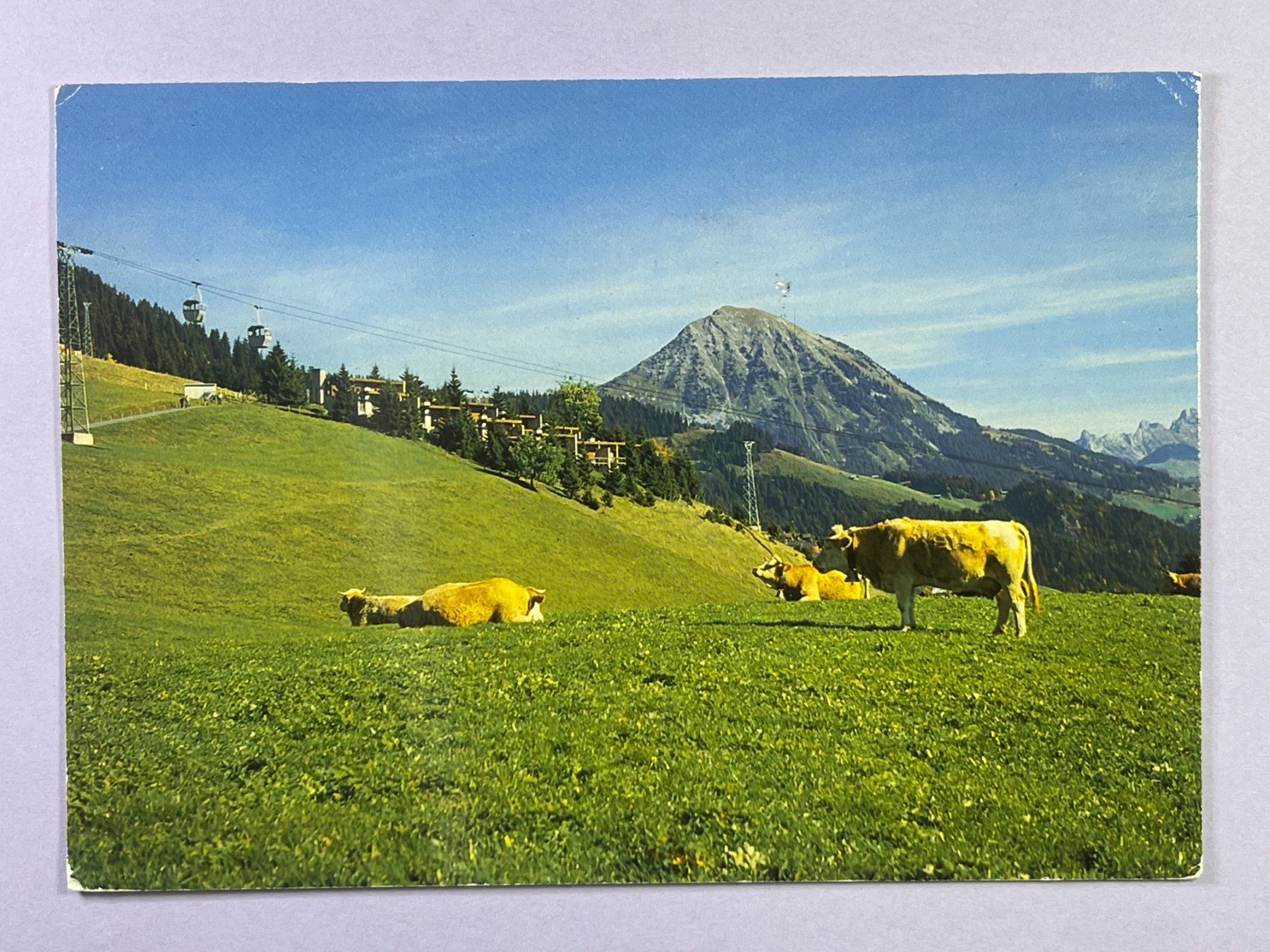 Cartoline postali: Leysin - Alpes Vaudoises – Usato da Steg VS venduto da _vinci_