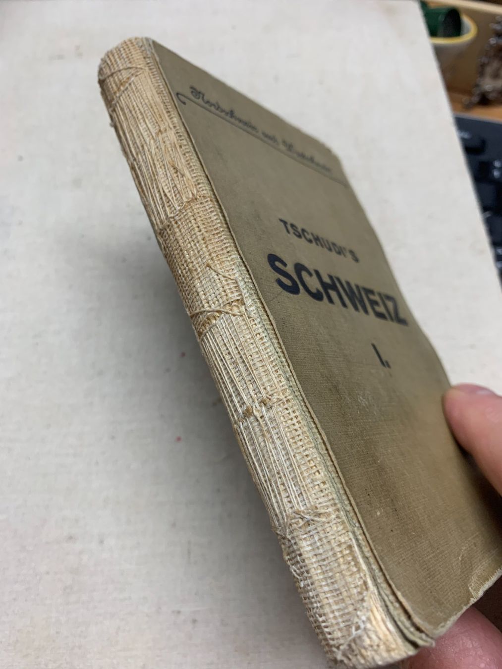Bücher: Tschudi's SCHWEIZ I. -1916 – Gebraucht aus Sorengo von 74in 3