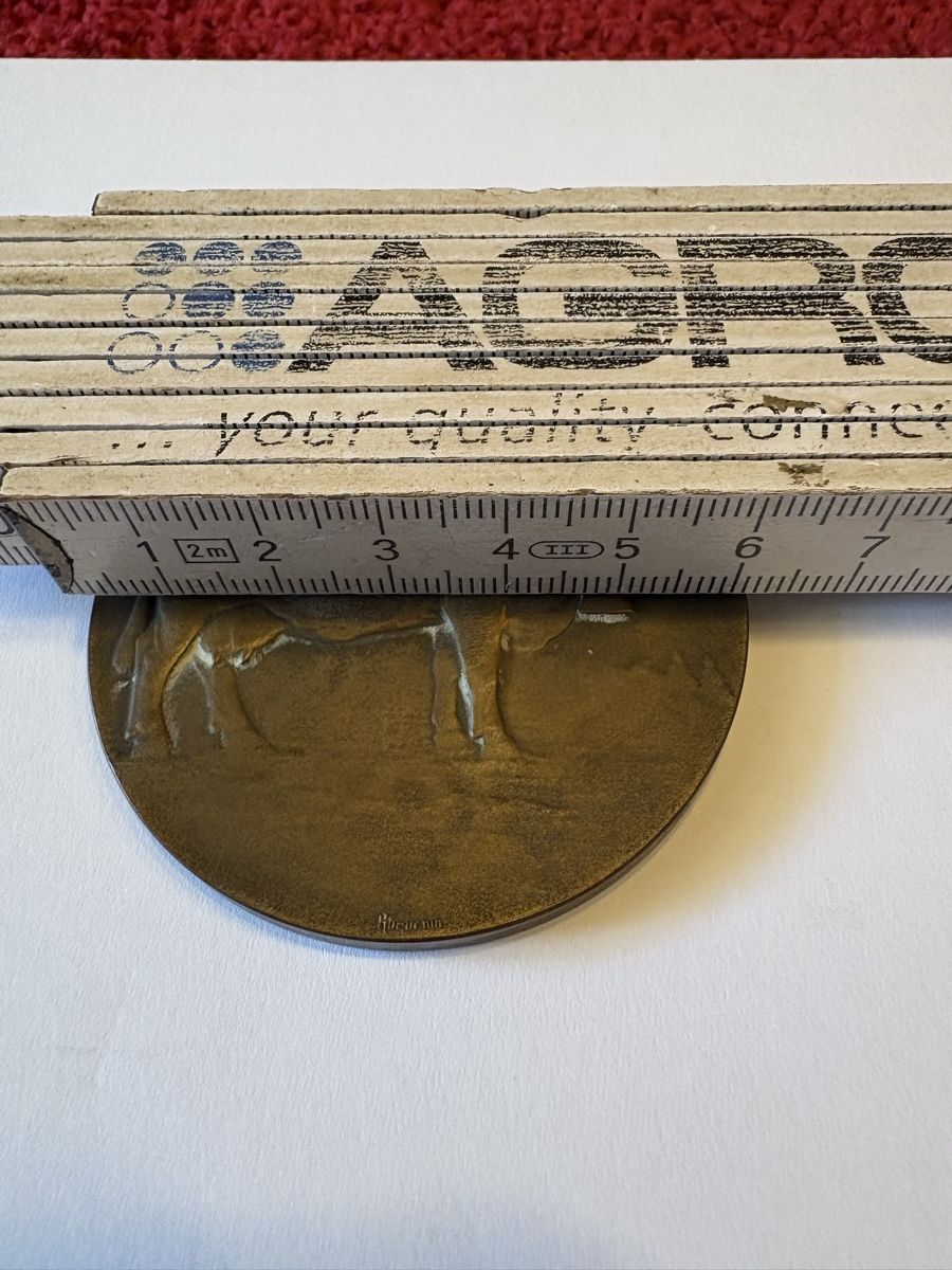 Medaillen: Bronzemedaille 1947 Freiburg  – Gebraucht aus Murten von Tzaugg 3