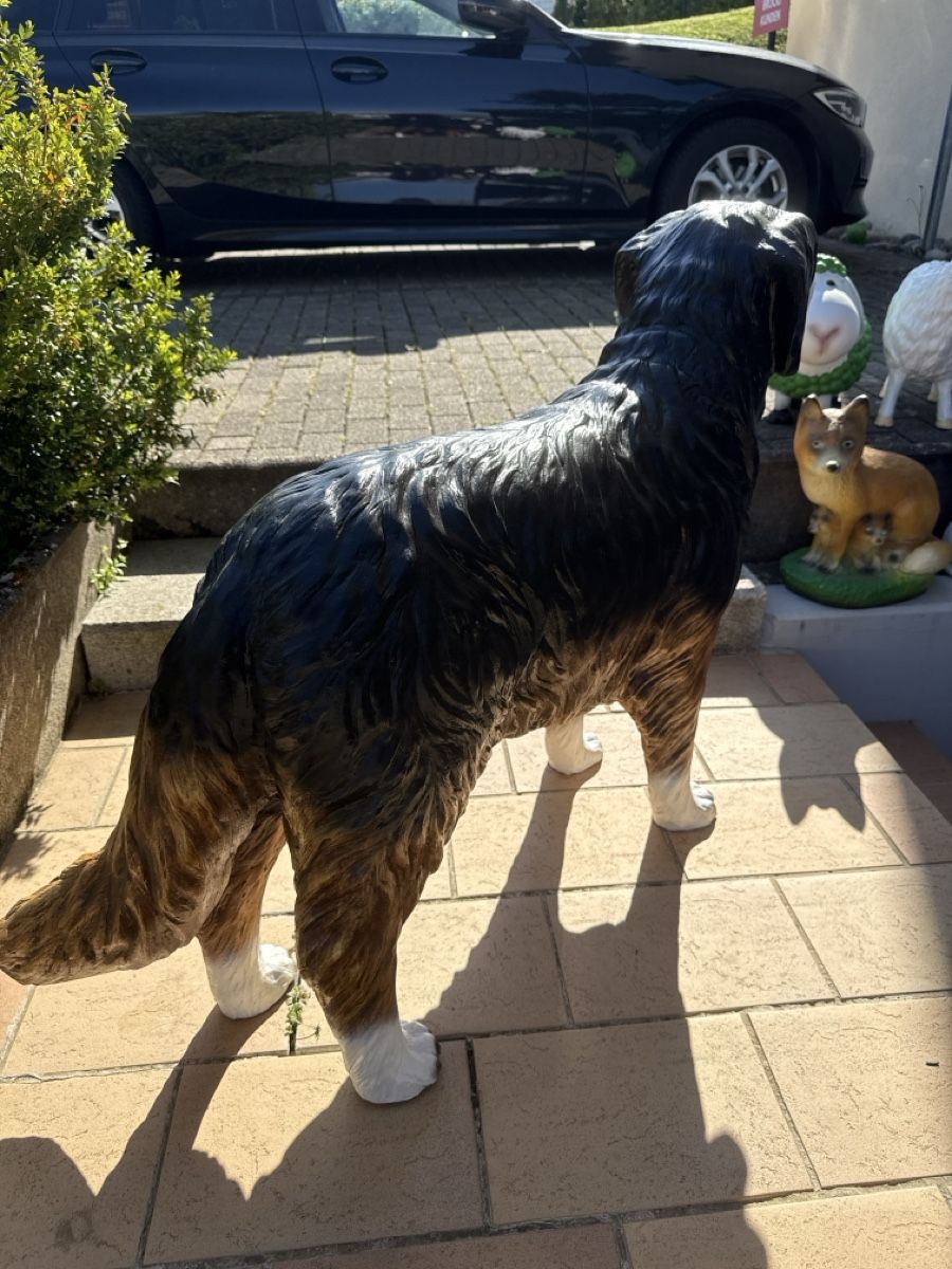 Statuette: Berner Sennenhund, Garten Deko,NEU! – Nuovo e nell'imballaggio originale da Zwingen venduto da Eiphone 2