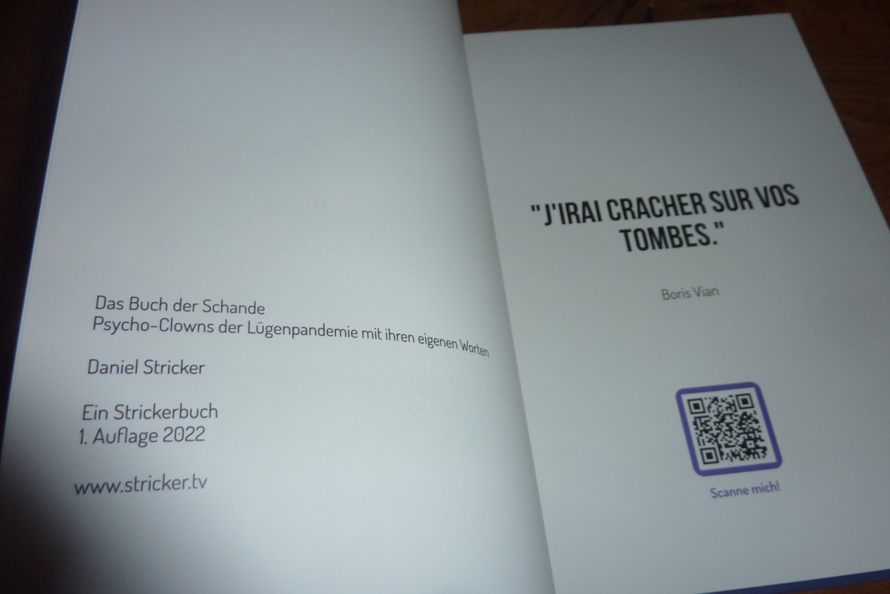 Livres: Das Buch der Schande, Daniel Stricker – D'occasion à Lausen par akira003 1