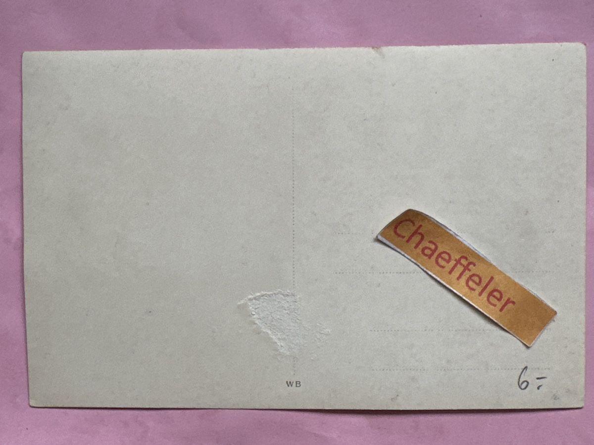 Cartoline postali: Darmstadt. Besuch der Graf Zeppelin – Usato da Zürich venduto da Chaeffeler 1