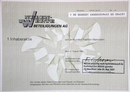 Nebenwerte-Beteiligungen AG, Bern - 1996
