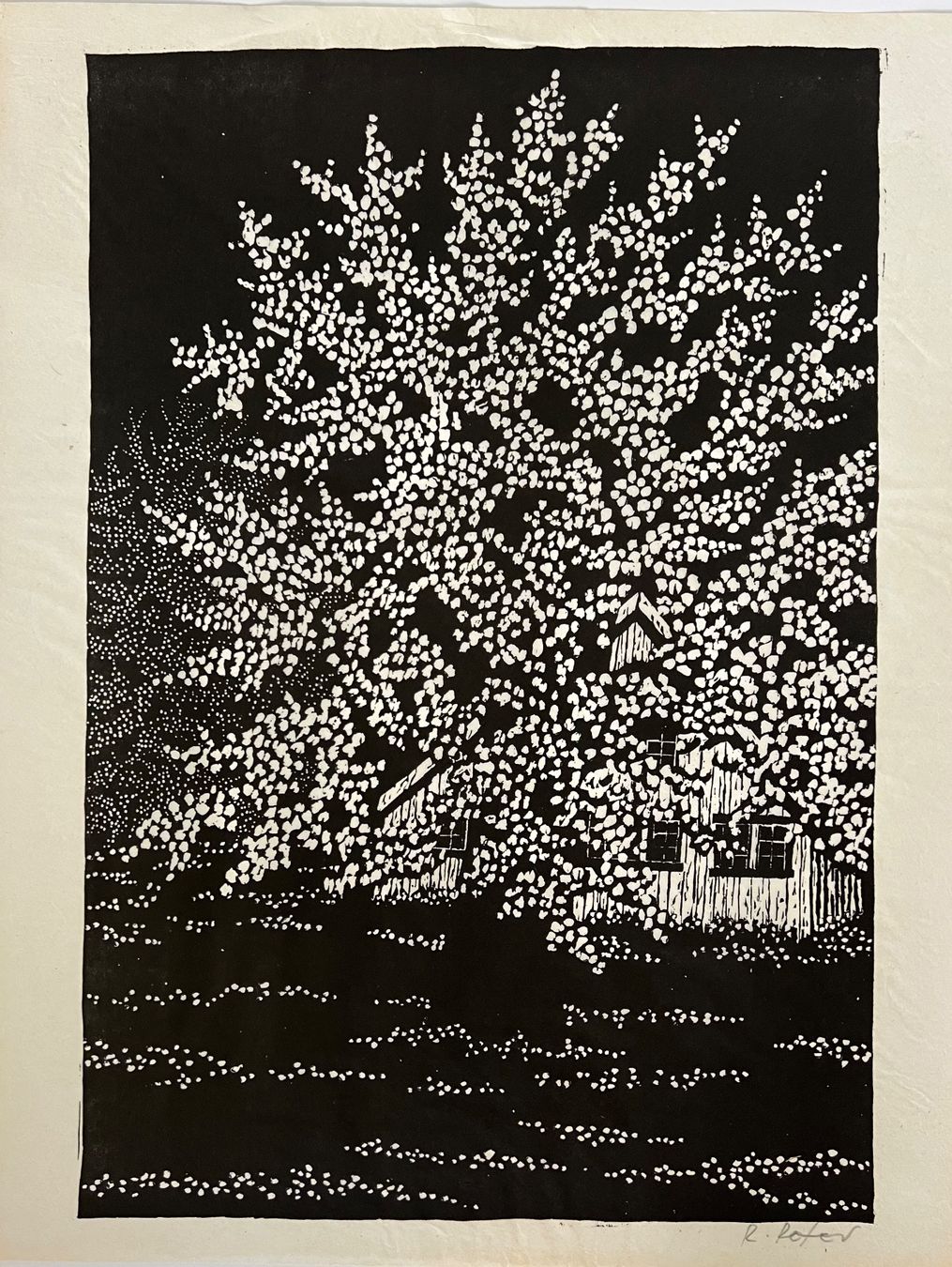 Arts picturaux & lithographies: Ruedi Peter, handsigniert – D'occasion à Rain par Pic-Ass
