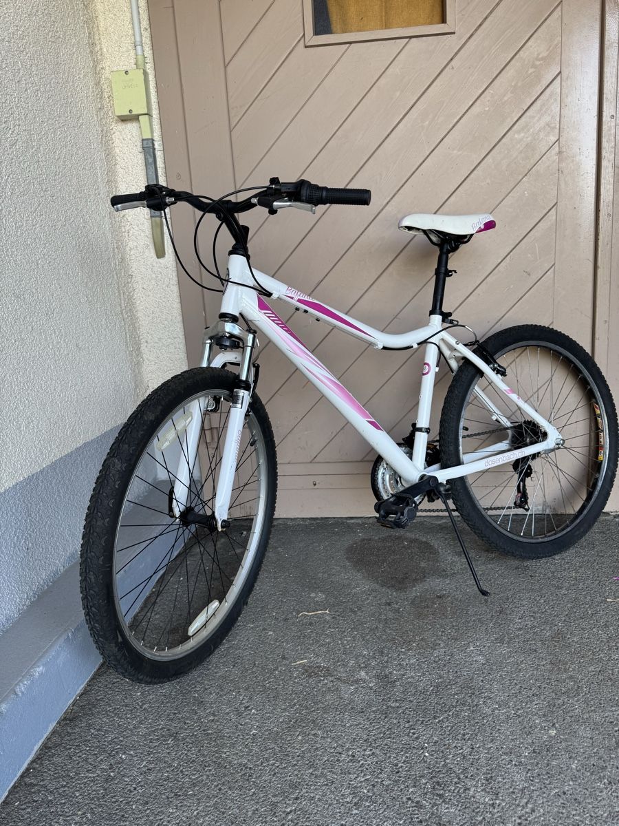 Velos: Velo Damen Babana – Gebraucht aus Belp von ch1999 3