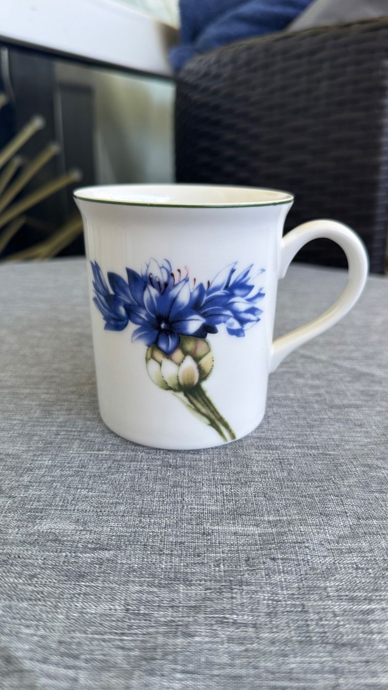 Villeroy & Boch Piatti: Villeroy Boch Tasse New – Nuovo (secondo la descrizione) da Zürich venduto da Privat4444