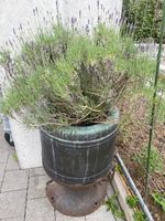Antike Waschmaschine Deko für den Garten, Rarität!