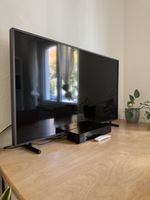 Samsung „The Frame 2.0“ 49 Zoll Fernseher