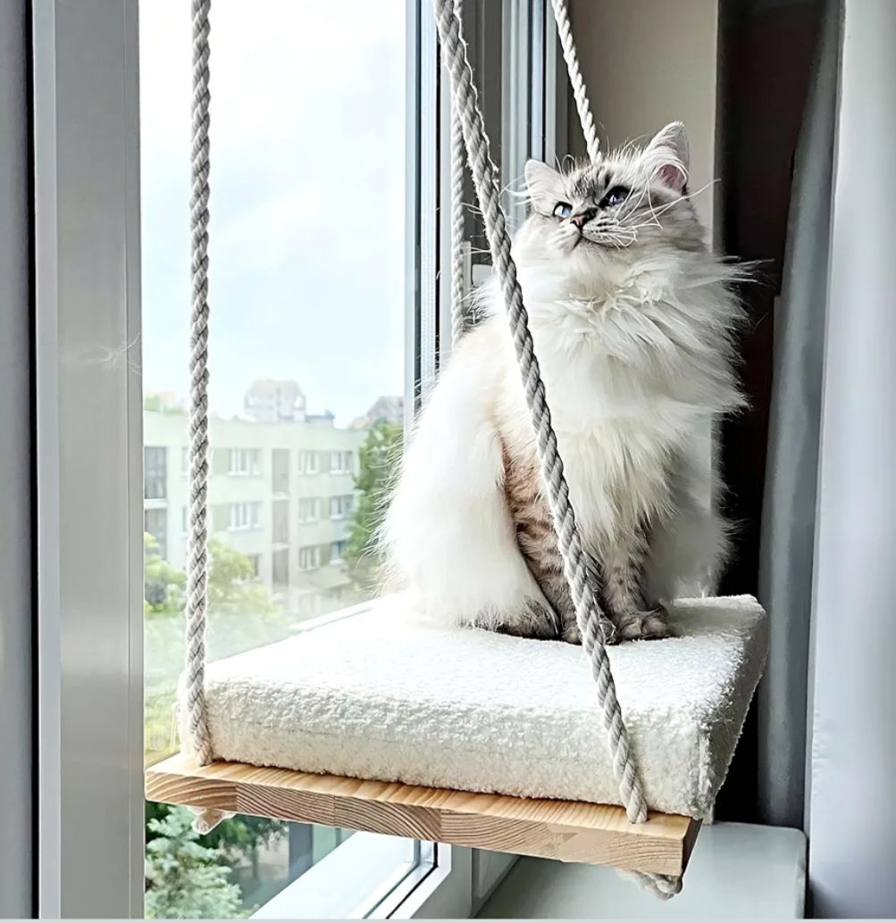 Cucce & Letti: Katzen Fensterliege – Nuovo e nell'imballaggio originale da Winterthur venduto da SwissPrime 1