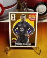 Moise Caicedo / Extra Sticker / WM 2026 / Bronze