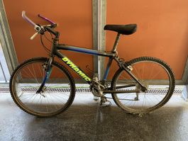 Mountainbike alt - Reifen wechsel nötig