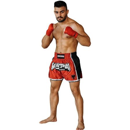 FIGHTERS - Muay Thai Shorts Elite Albanien / XXS bis XXL