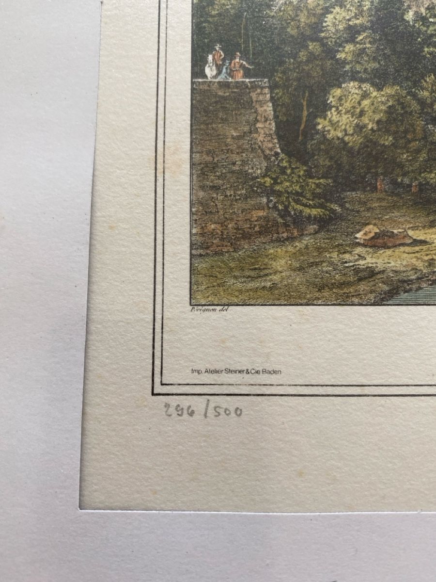 Grafica & Litografie: Chillon Schloss Lithographie, gerahmt - Wunderschöne Ansicht – Nuovo (secondo la descrizione) da Illnau venduto da Sniwi67 1