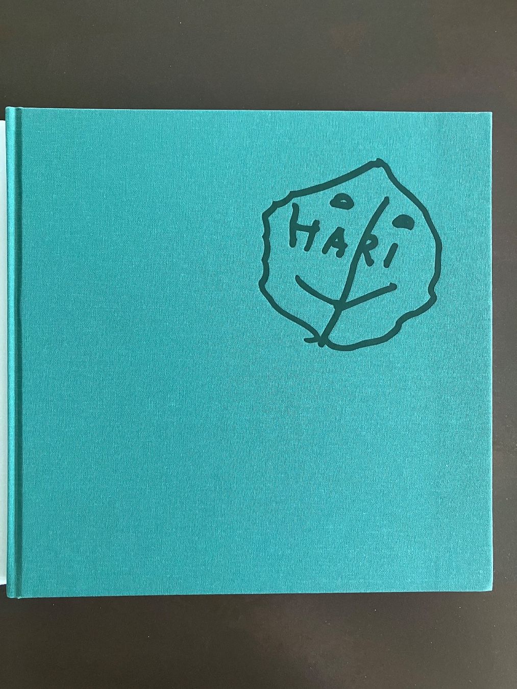 Bücher: Kunst: Harold Studer - Berner Künstler – Gebraucht aus Menziken von timbuktu1001 1