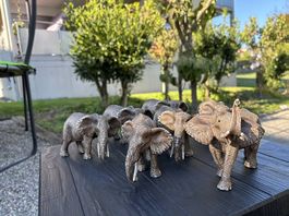 7 Schleich-Elefanten suchen neues Zuhause