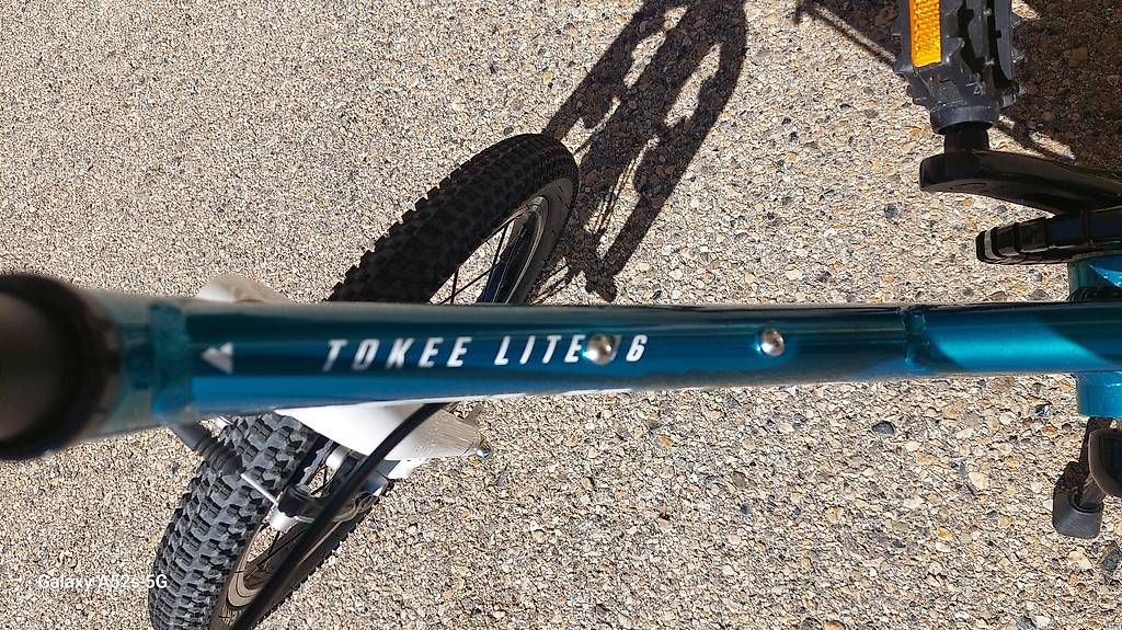 Biciclette: Velo 16 pouces Tokee Lite – Usato da Lausanne venduto da hector22 1