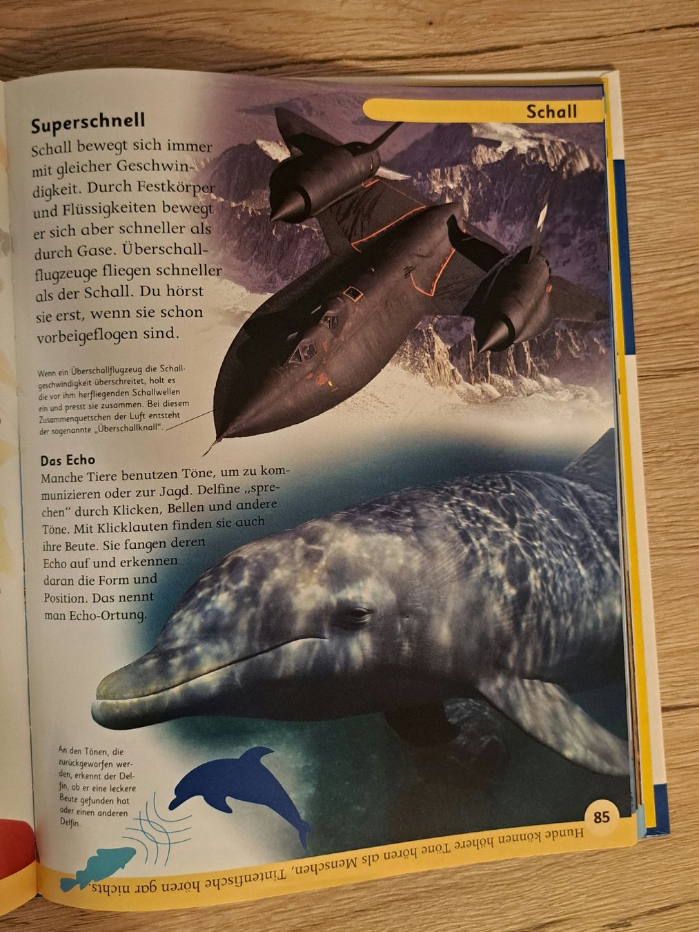 Libri: Kinderlexikon Natur&Technik – Usato da Schaffhausen venduto da xJuliax 2