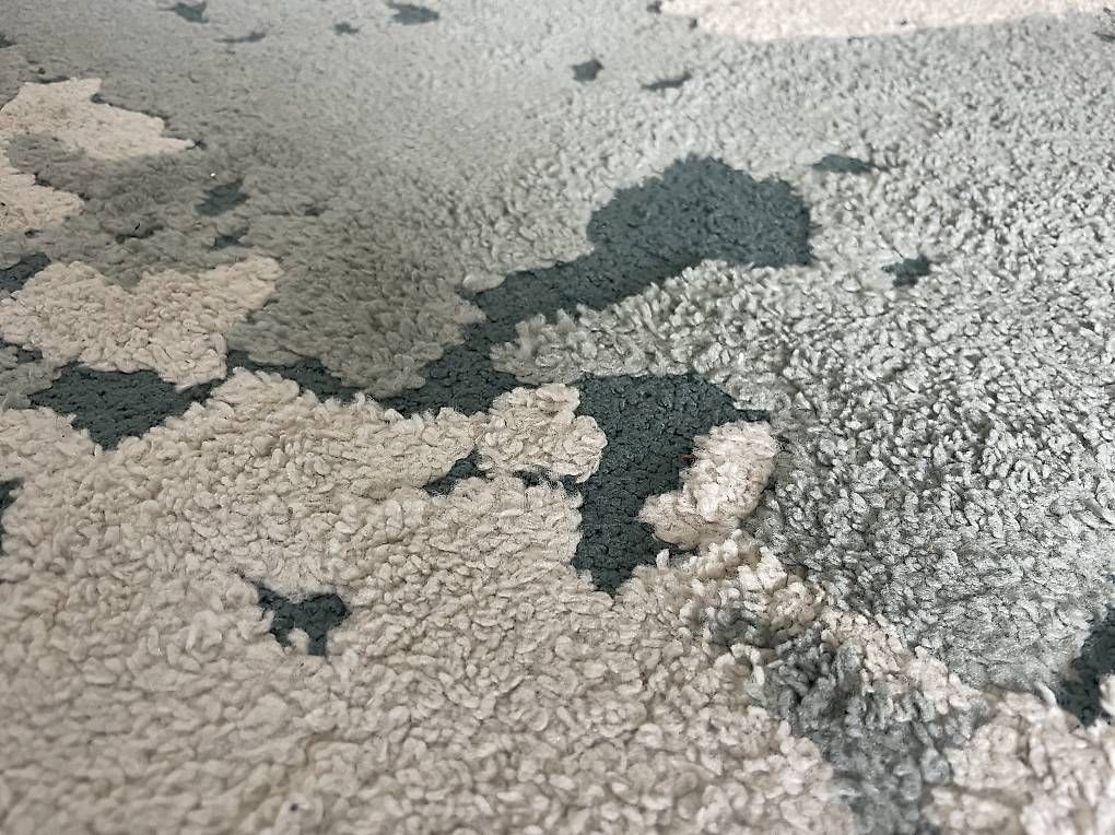 Tapis: Grosser Teppich – D'occasion à Bern par cgu_m8lv 2