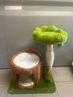 Katzenbaum