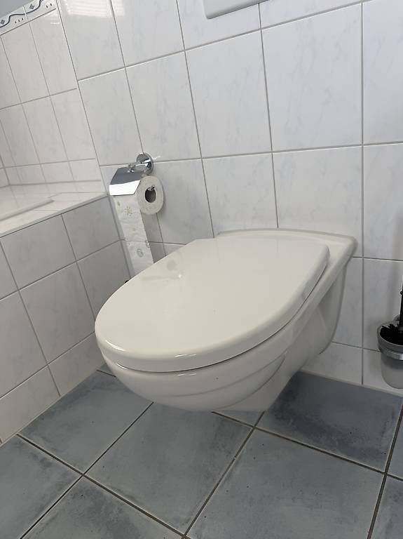 Laufen WC: Wc Schüssel Laufen + Geberit – Usato da Täuffelen venduto da valdete1987