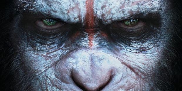 Tutti i DVDs: Planet der Affen Prevolution + Revolut. – Usato da Uster venduto da Chadwick 1