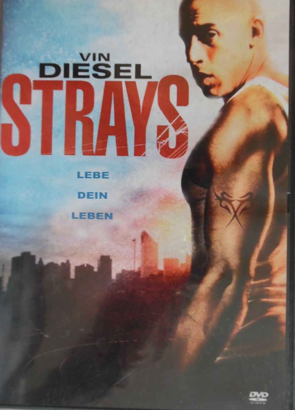 Tous les DVDs: Strays, Lebe dein Leben – D'occasion à Bellinzona par Luna093
