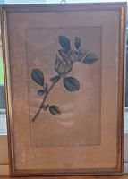 Botanisches Bild