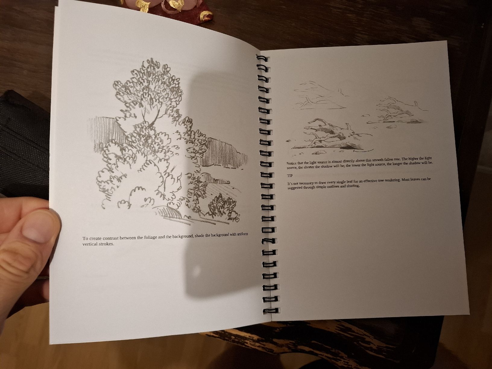 Libri: Zeichenbuch How to Draw Outdoor Scenes  – Usato da Biberist venduto da HarleySeventyTwo 2