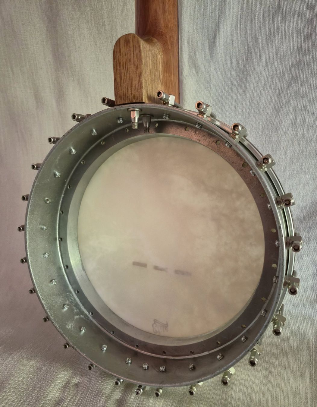 Strumenti musicali: SAGA 5-String Fretless-Banjo 11", Open-Back aus Bausatz – Usato da Jona venduto da brackets 8