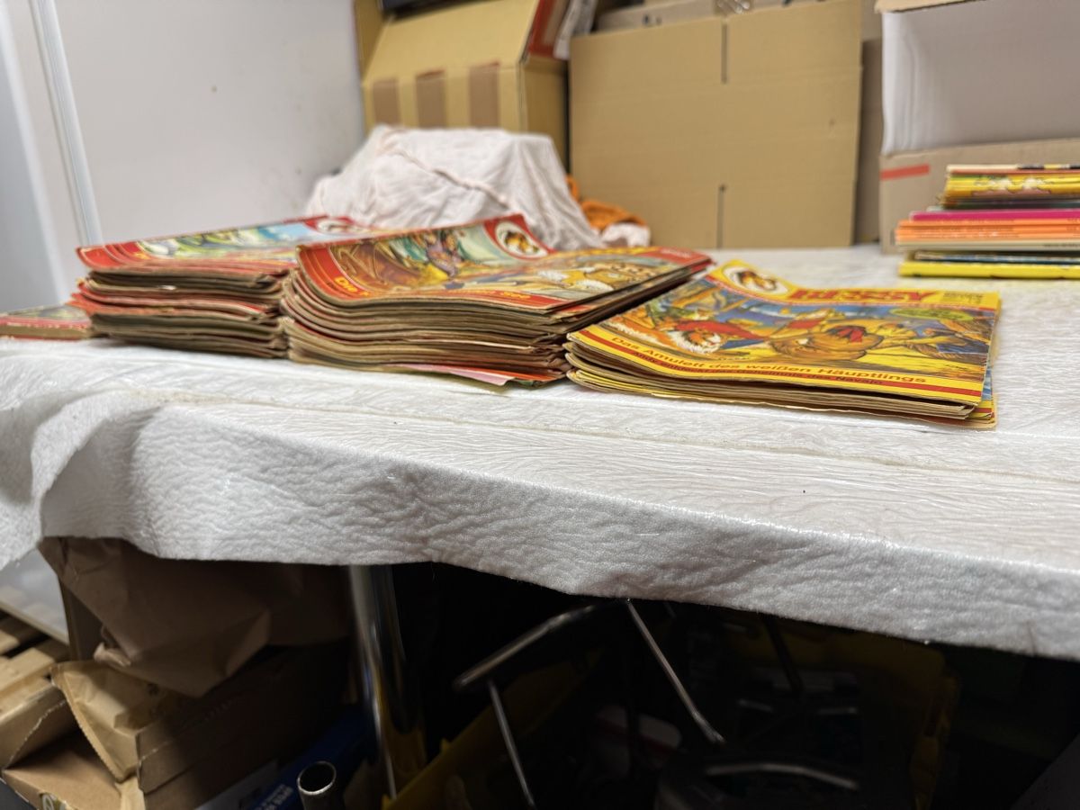 Fumetti: Bessy Comic Sammlung – Usato da Aeschi SO venduto da Toporiginals 1
