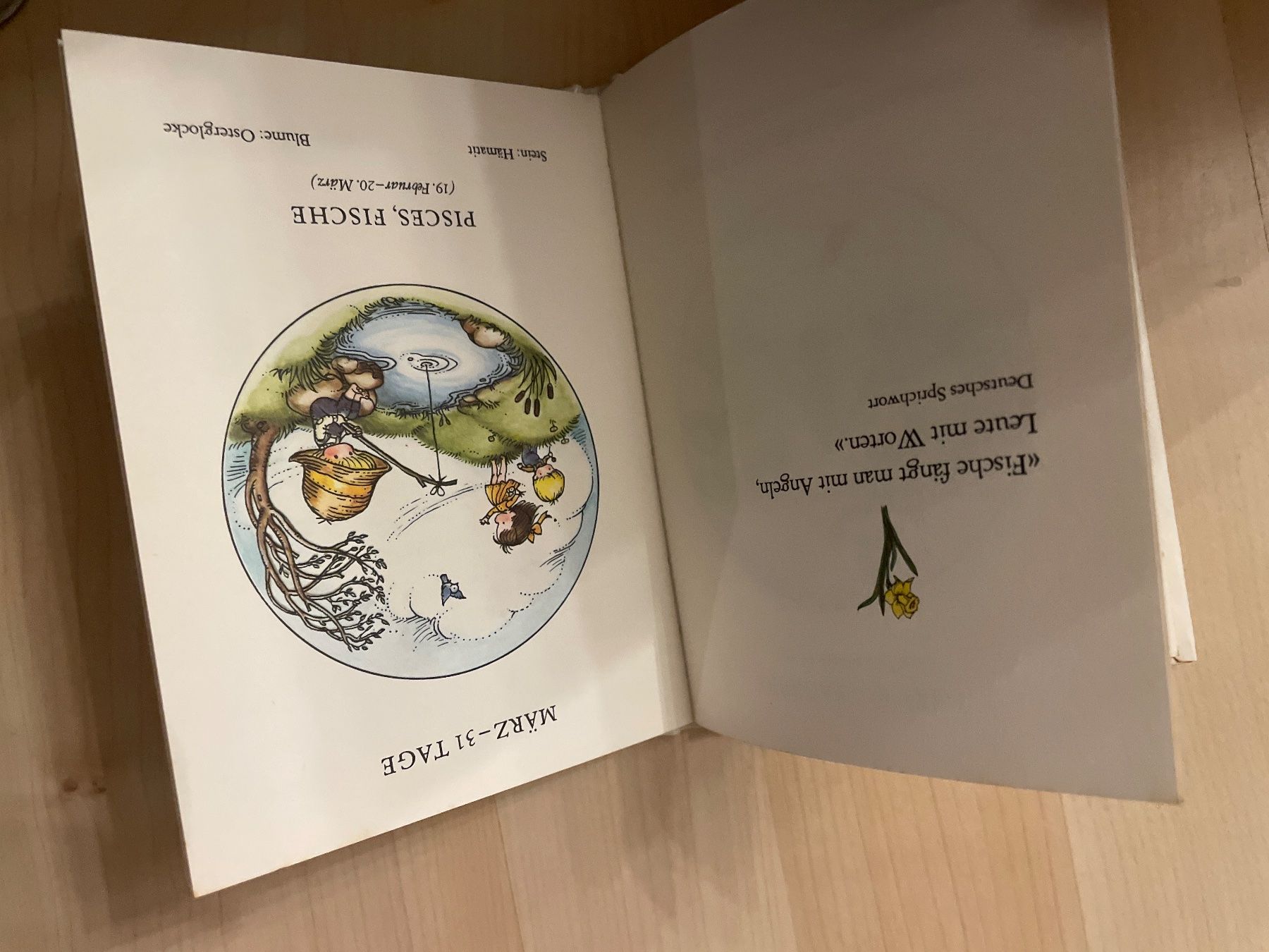 Libri: Ein Jahr ist rund - Buch – Usato da Schaffhausen venduto da Kolibri023 2
