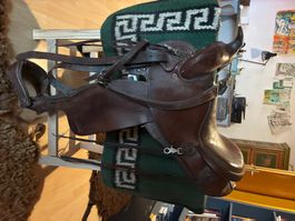 Selle de randonnée style américaine