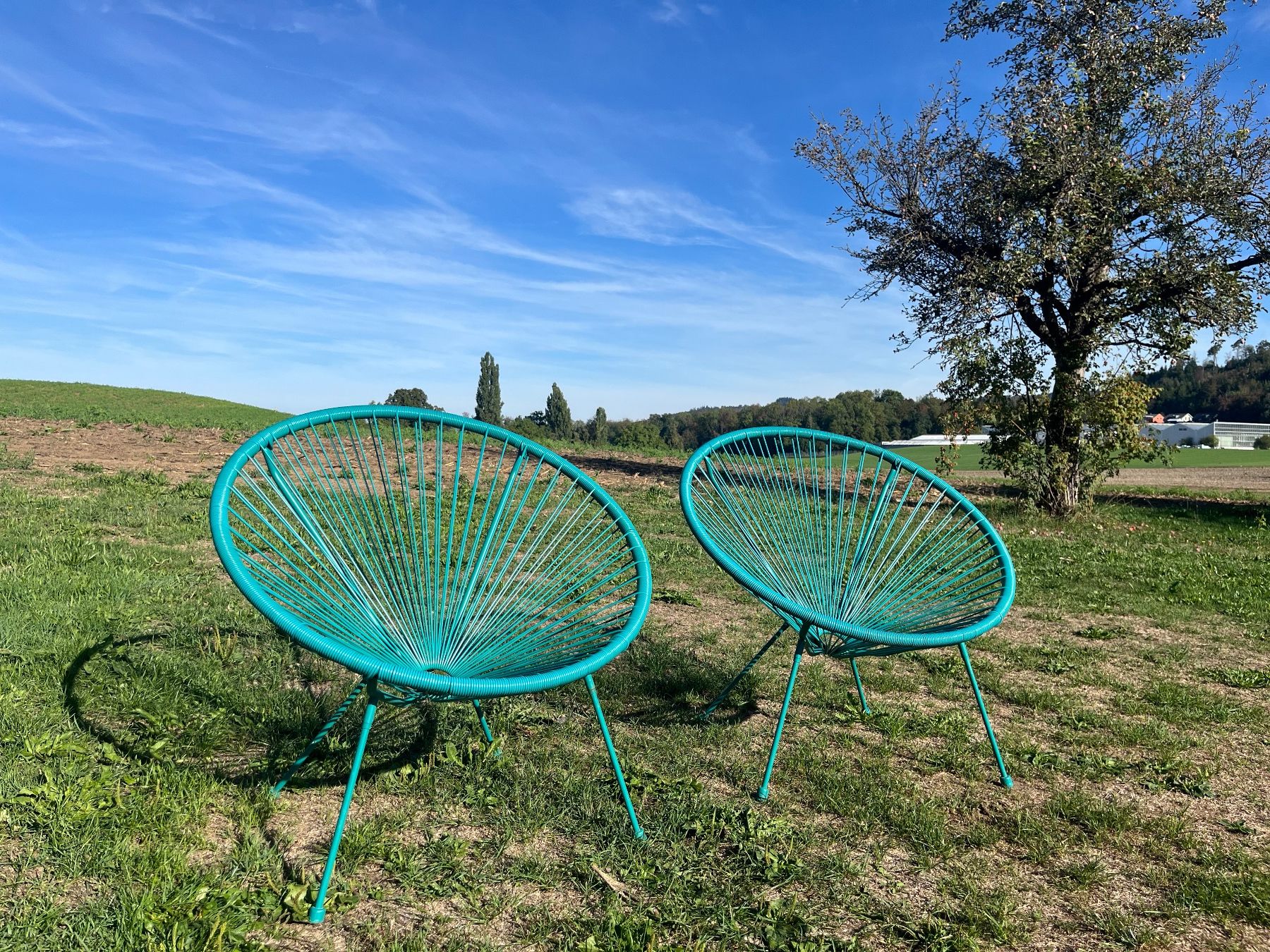 Poltrone: 2 Faden Lounge Sessel – Usato da Allmendingen b. BE venduto da juair 6