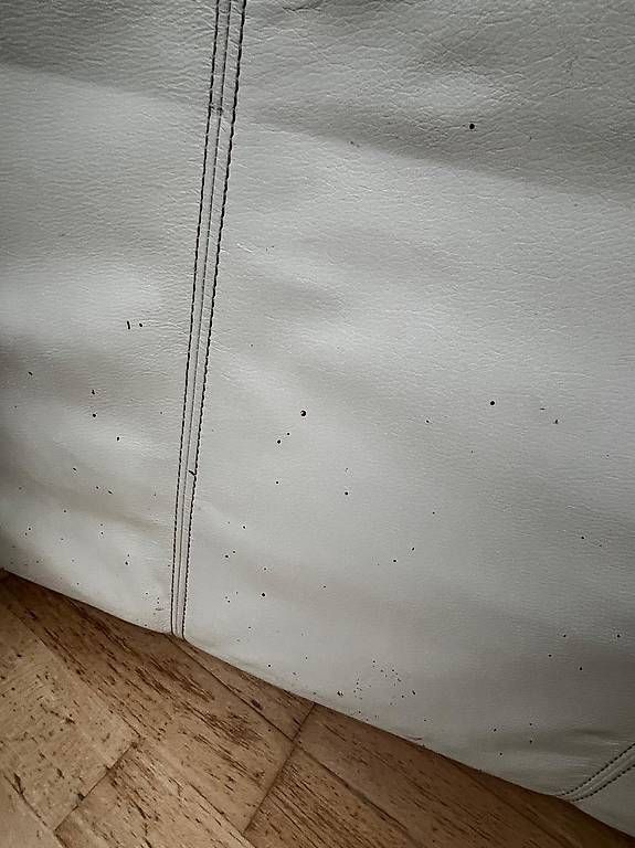 Poltrone: Sessel gross – Usato da Zürich venduto da panda024 2