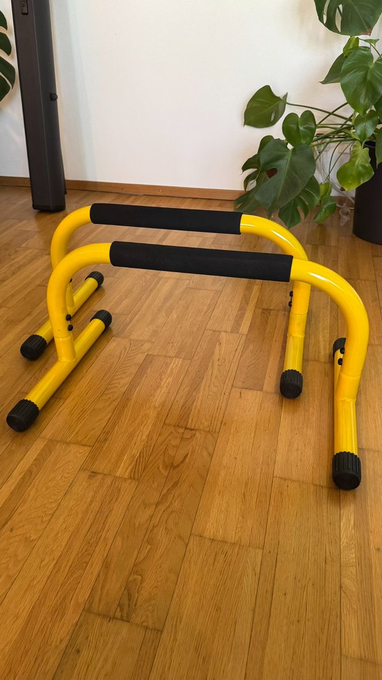 Hometrainer: Lebert Fitness Parallettes – Usato da Bonaduz venduto da laryxfary 2
