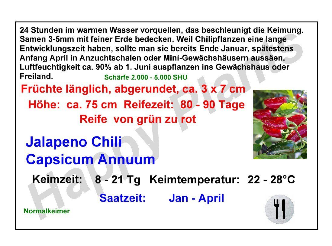 Piante & sementi: Jalapeno Chili - Capsicum Annuum - 20 Samen – Nuovo e nell'imballaggio originale da Sumiswald venduto da Cham14559 1